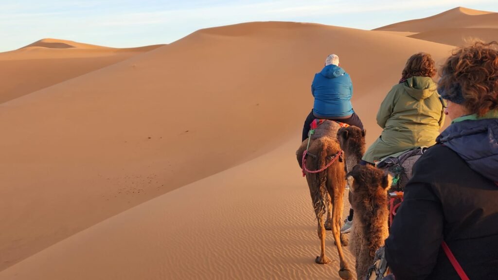 Marrakech desert tours
